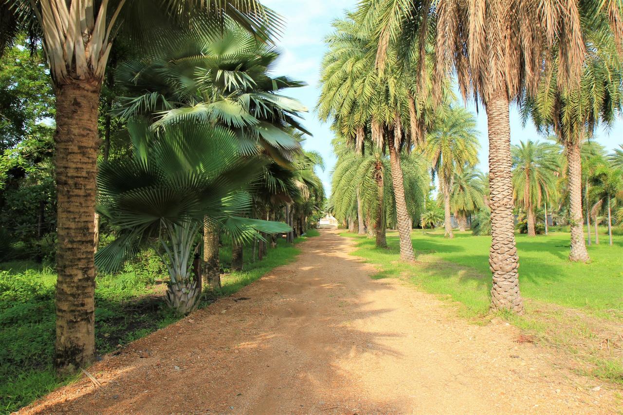 Lopburi Palm Resort エクステリア 写真