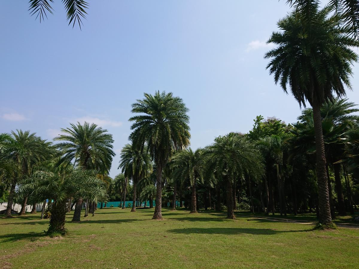 Lopburi Palm Resort エクステリア 写真