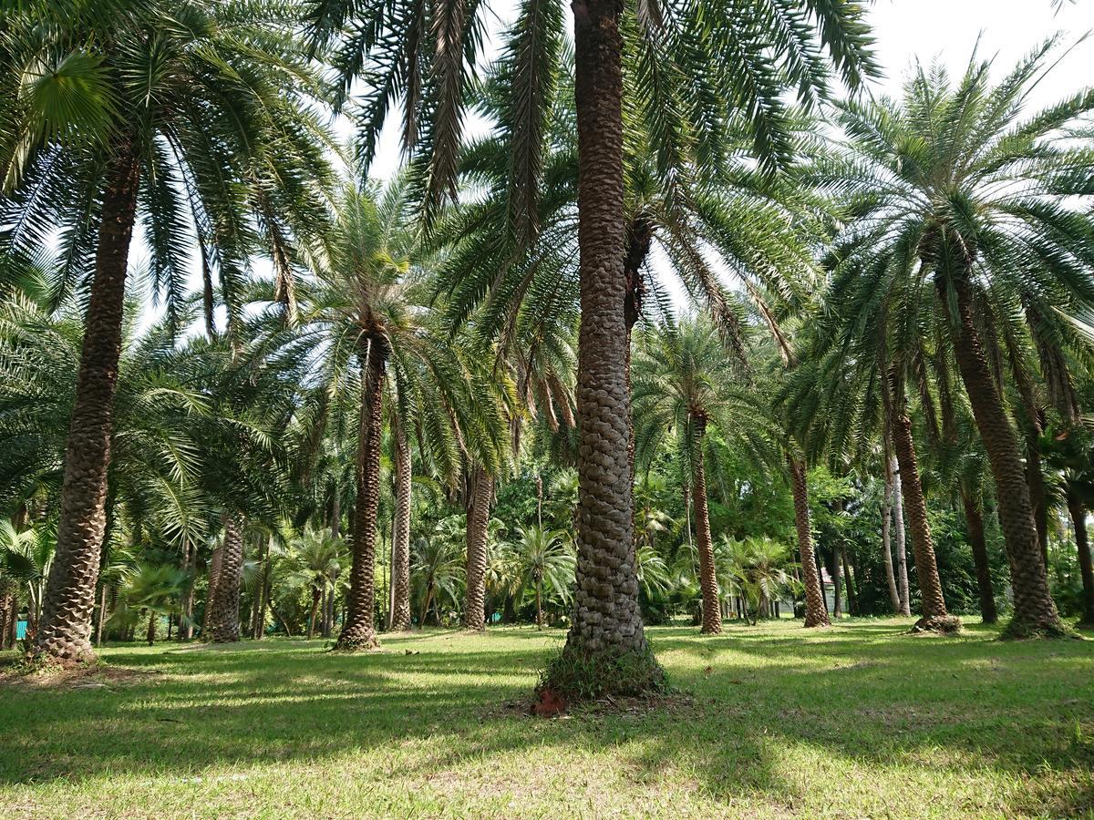 Lopburi Palm Resort エクステリア 写真